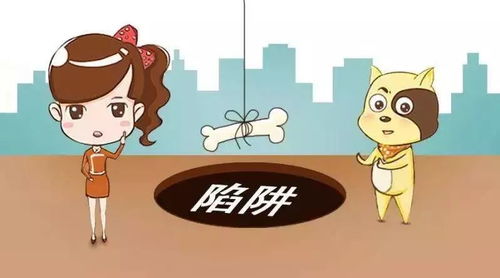 科技中介服務(wù) 告別傳統(tǒng)中介費，服務(wù)與保障從何而來？